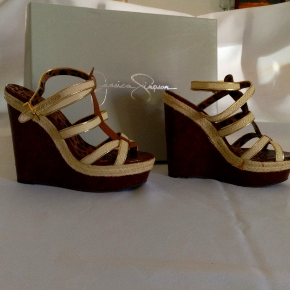 They need a good home